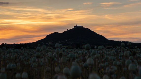 Bezděz při západu slunce