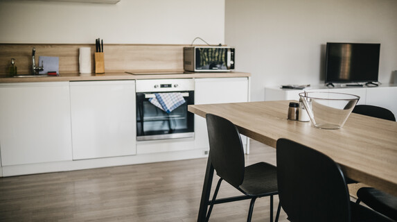 Apartmán Lakepark 2 kk ubytování u Máchova jezera