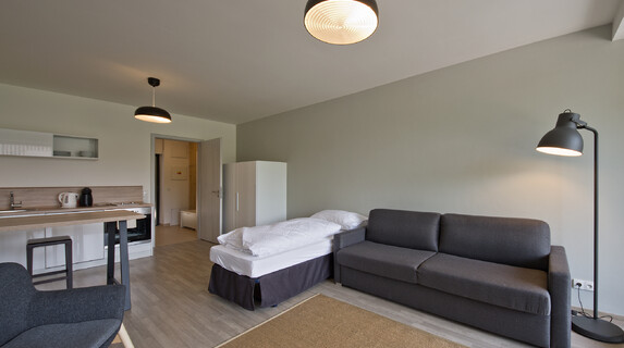 Apartmán Lakepark 1 kk ubytování u Máchova jezera