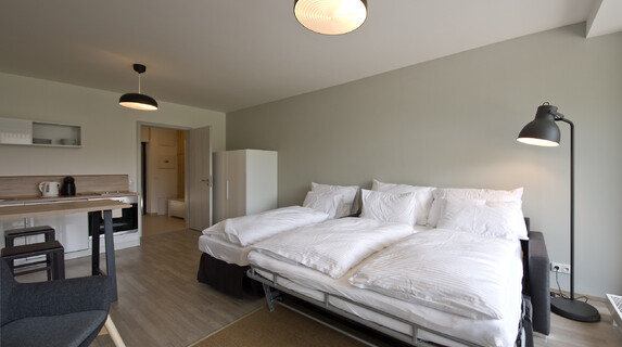 Apartmán Lakepark 1 kk ubytování u Máchova jezera