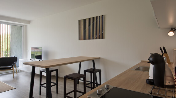 Apartmán Lakepark 1 kk ubytování u Máchova jezera