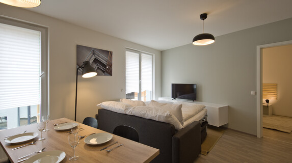 Apartmán Lakepark 2 kk ubytování u Máchova jezera